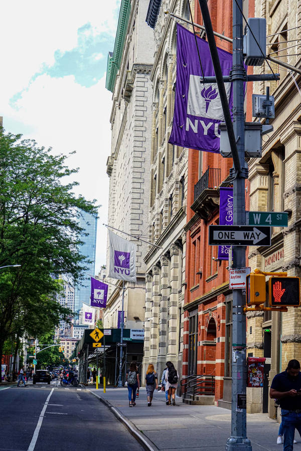 The Vibrant Path To Nyu. Wallpaper