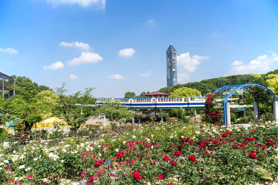 The Vibrant Tranquility Of Nagoya's Higashiyama Botanical Garden Wallpaper