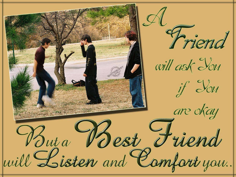 Three Guys Best Friend Quotes Background Wallpaper