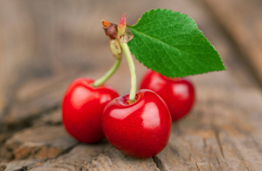 Three Red Cherries Wallpaper