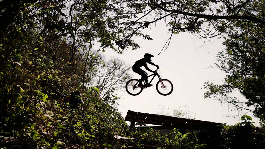 Thrilling Cyclist Performing Freeride At Mountain Rampage Wallpaper