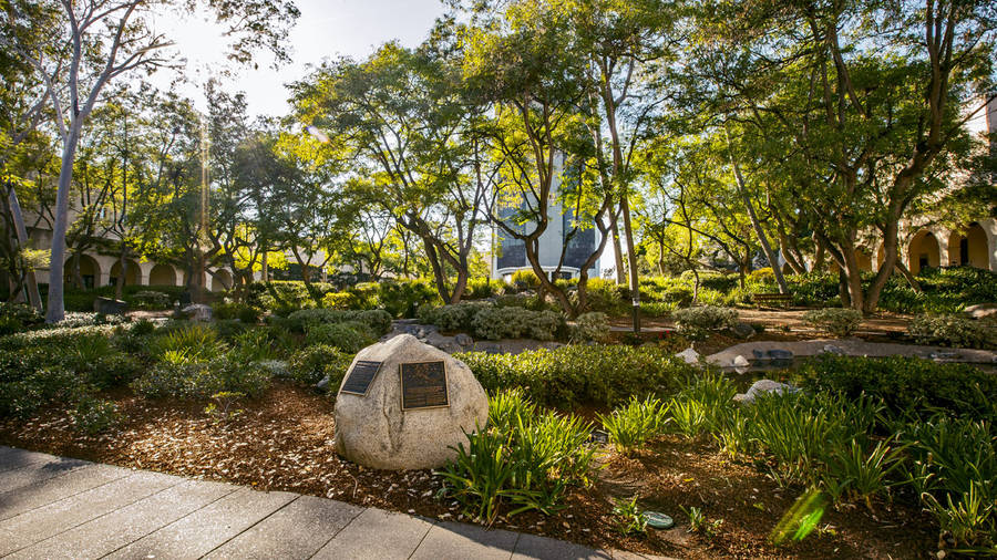 Throop Memorial Garden At Caltech Wallpaper