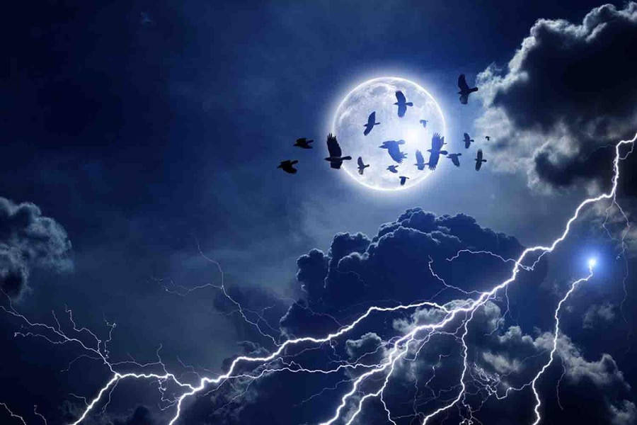 Thunderstorm With Birds Wallpaper