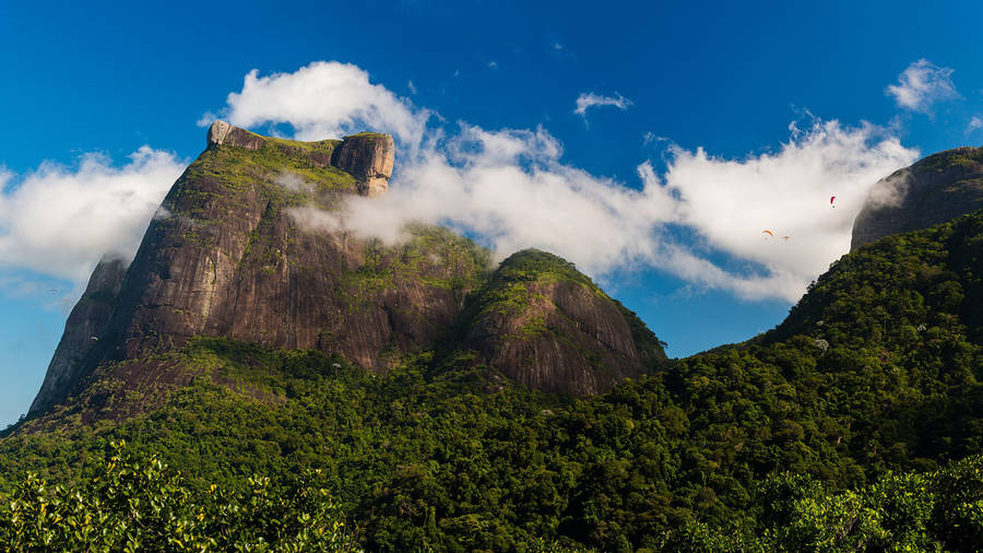 Tijuca National Park Brazil Wallpaper