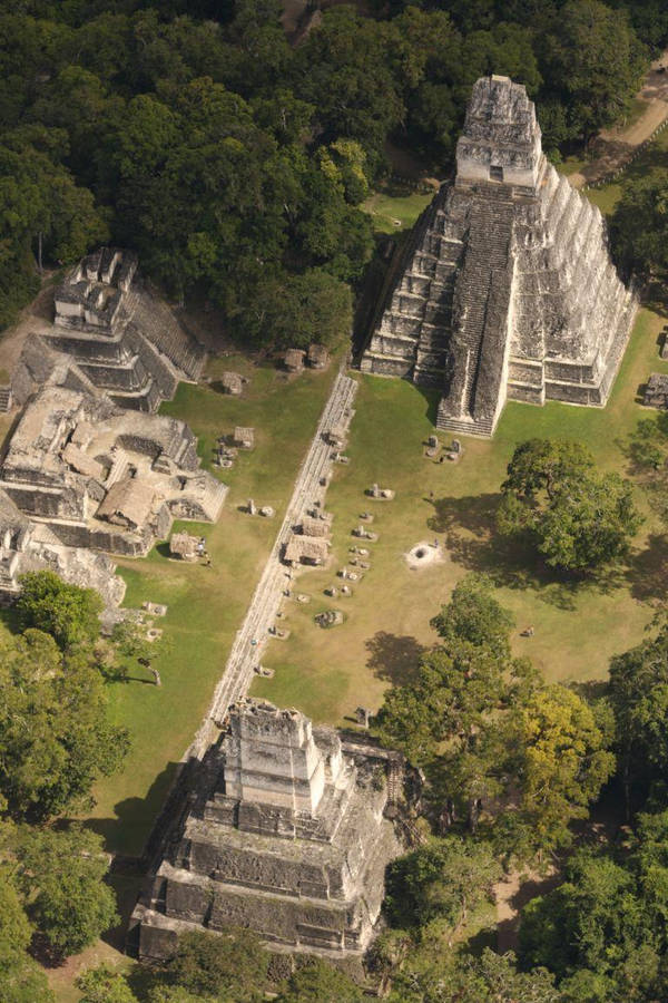 Tikal Aerial View Wallpaper