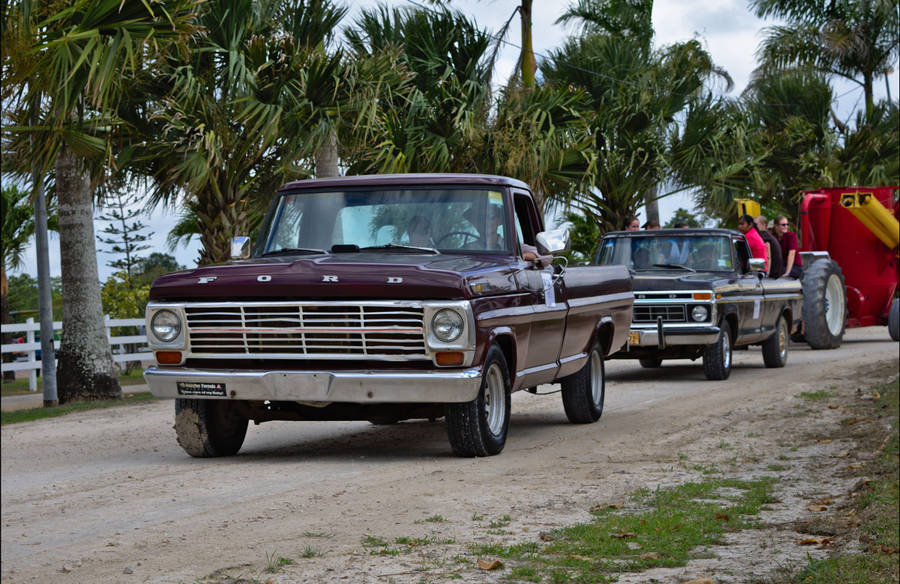 Timeless Beauty: A Pair Of Classic Ford Trucks Wallpaper