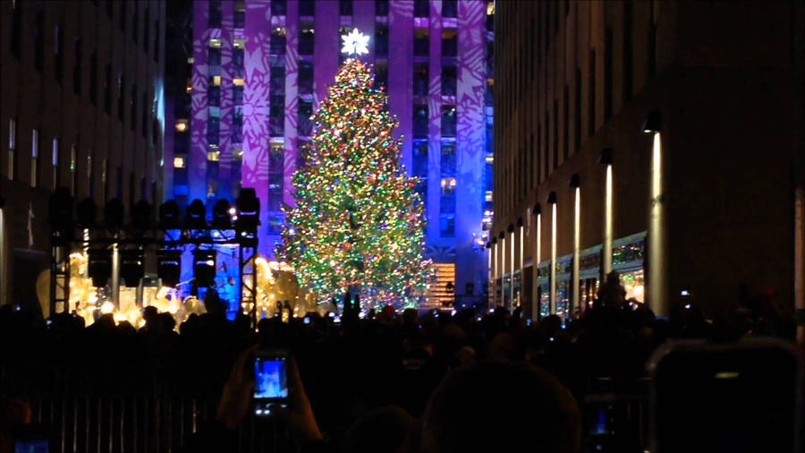 Times Square Christmas Tree Wallpaper