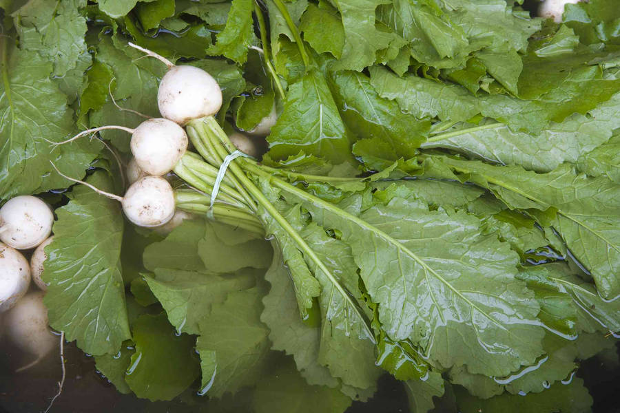 Tiny White Turnips In Water Wallpaper