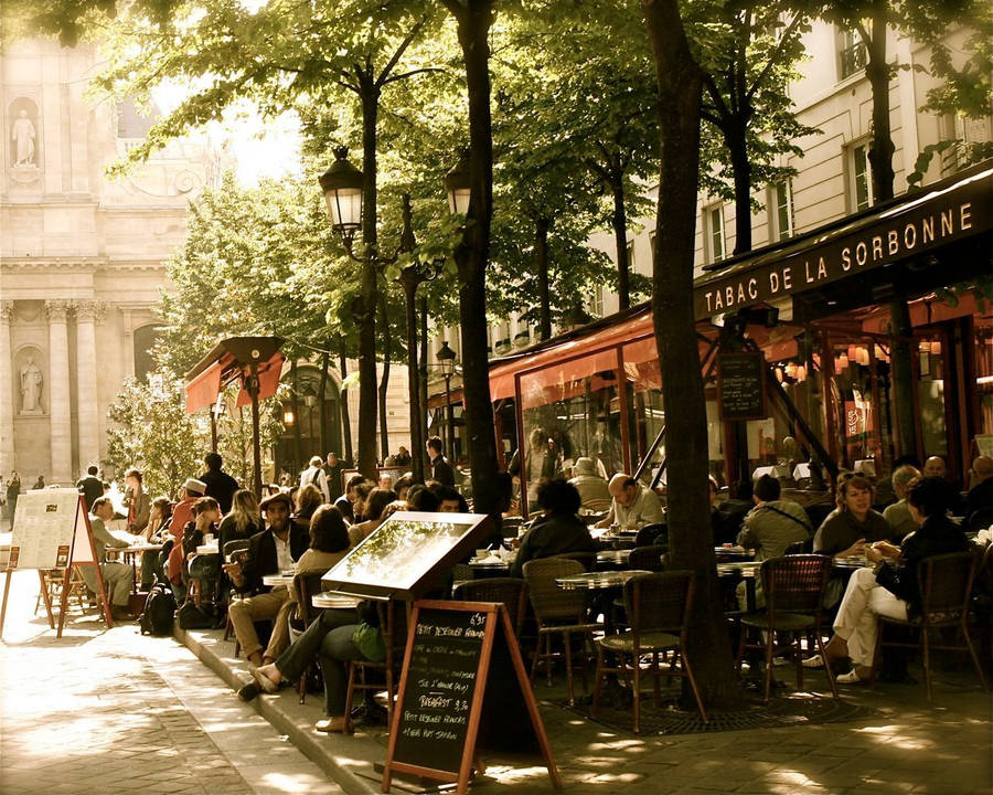 Tobacco Sorbonne Cafe Paris Wallpaper