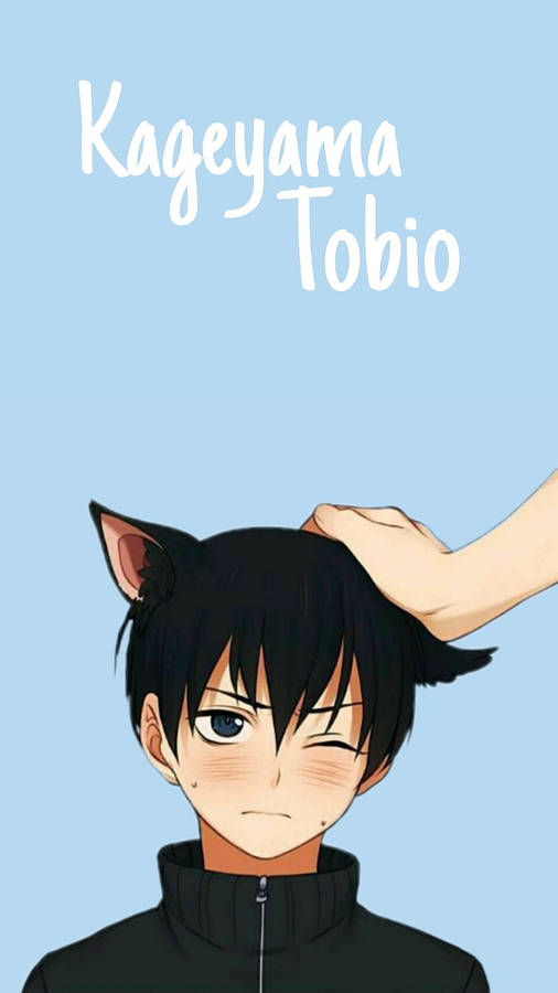 Tobio Kageyama As A Cat Wallpaper