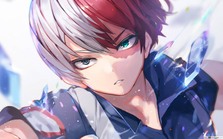 Todoroki Cute Hairstyle Wallpaper