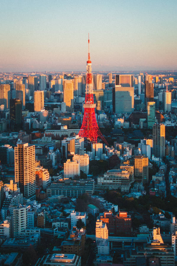 Tokyo Metropolis And Red Tokyo Tower Wallpaper