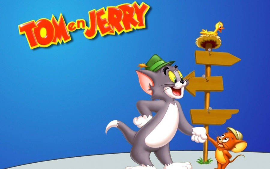 Tom And Jerry 4k Direction Signs Wallpaper