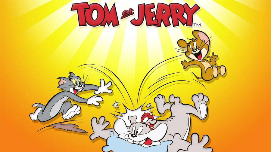 Tom And Jerry 4k Spike Bulldog Wallpaper