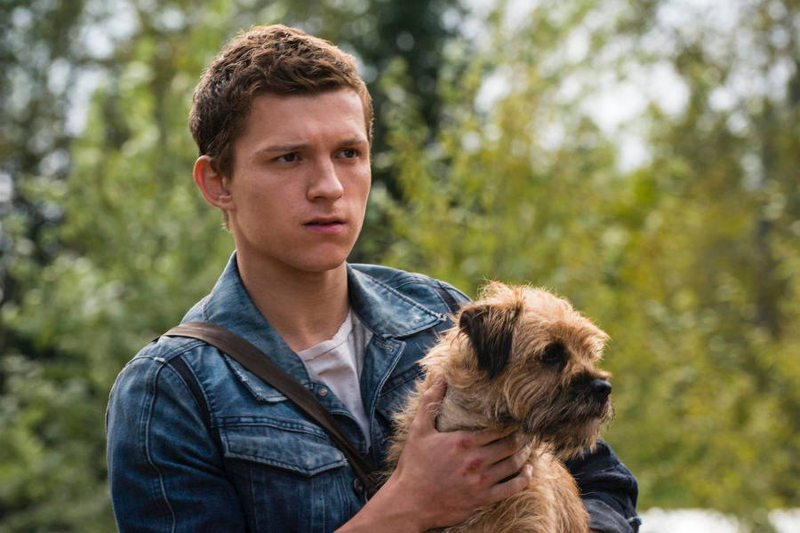 Tom Holland With Cute Puppy Wallpaper
