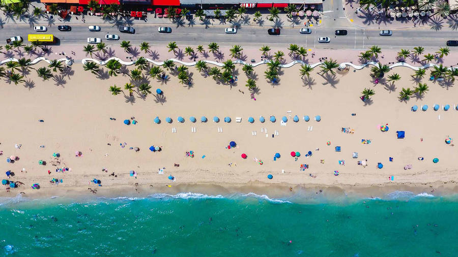 Top View Of Stunning Florida Beach Wallpaper