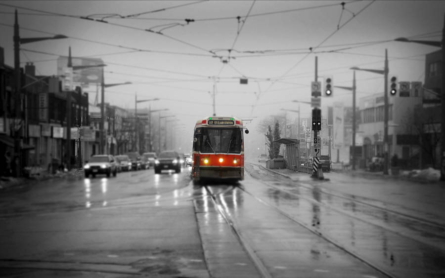 Toronto Bus In A Grayish Setting Wallpaper