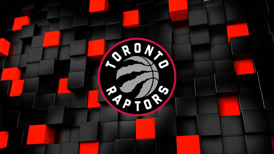 Toronto Raptors Graphics Design Wallpaper