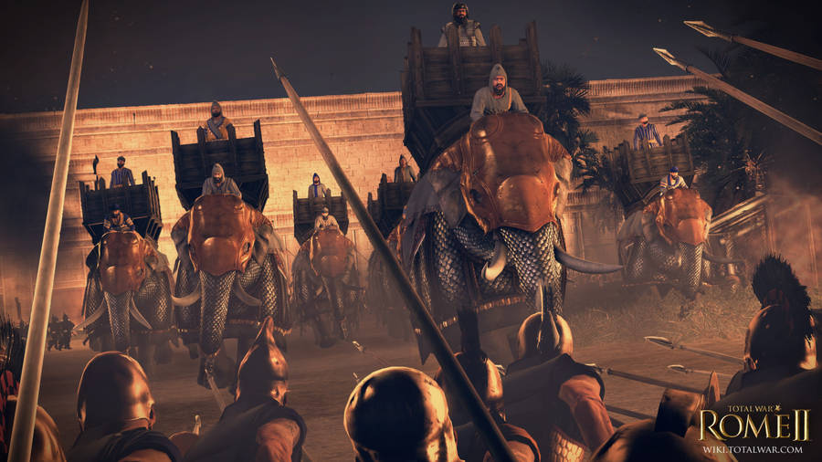 Total War Rome 2 War Elephants Wallpaper