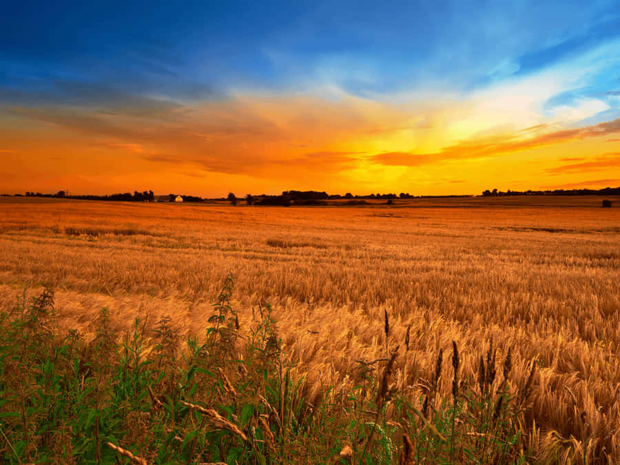 Tour The Rolling Hills Of Africa Wallpaper
