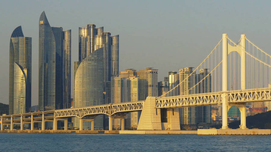 Tower Buildings Of Busan Wallpaper