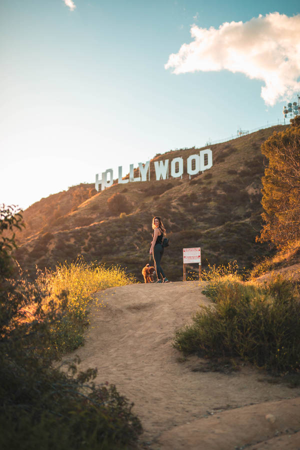 Trail Hollywood Los Angeles Wallpaper
