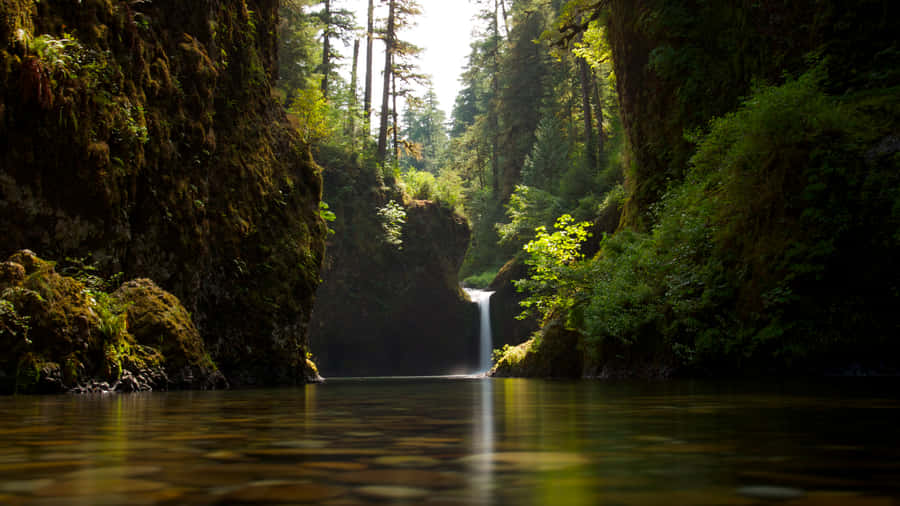 Tranquil Forest Waterfall Guyana Wallpaper