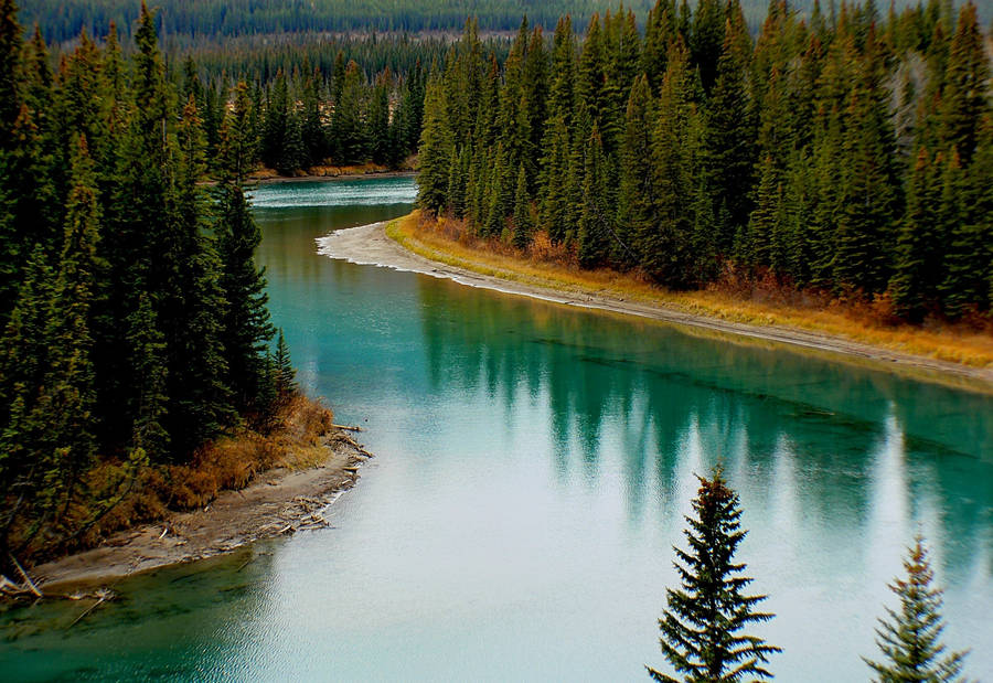 Tranquil Greens - A Captivating Mossy Green River View Wallpaper