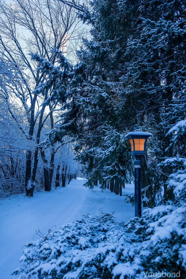 Tranquil Winter Evening In A Snowy Town Wallpaper