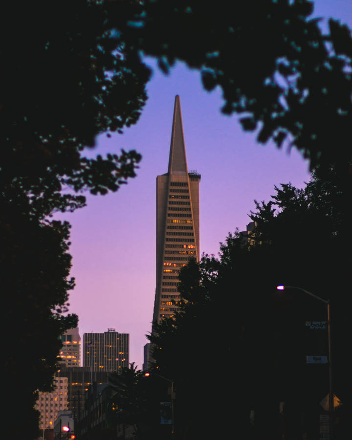 Transamerica Pyramid With Light Purple Sky Wallpaper