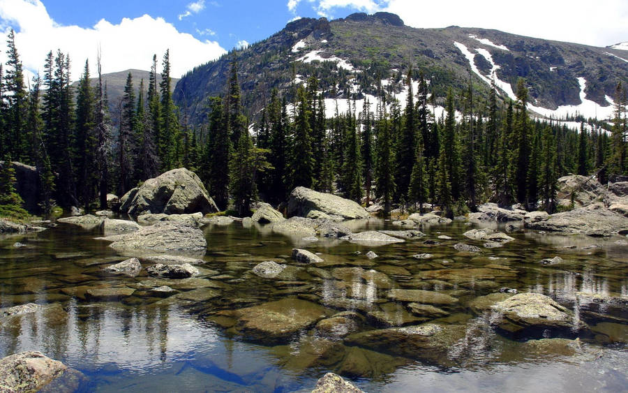 Transparent Lake With Rocks Wallpaper