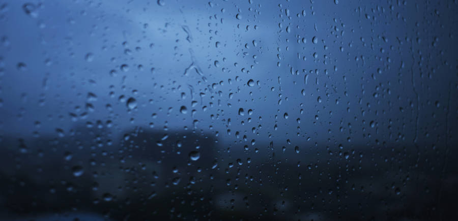 Transparent Rain Droplets Wallpaper