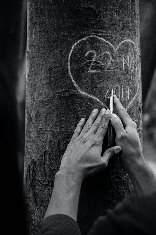 Tree Carving Love Black And White Wallpaper