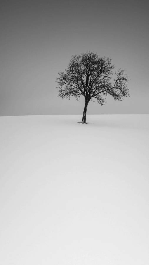 Tree Minimalist Phone Wallpaper