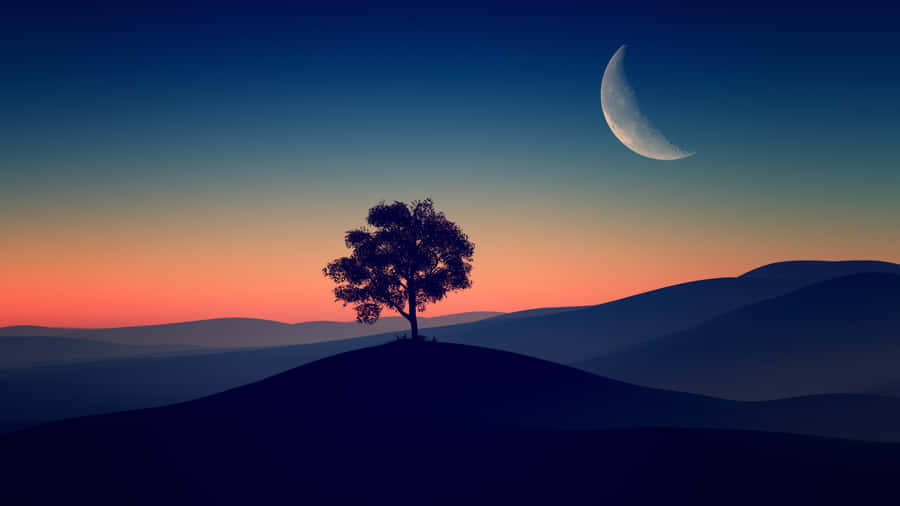 Tree On Hill Under Evening Sky Wallpaper