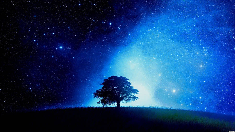Tree Starry Night Sky Wallpaper