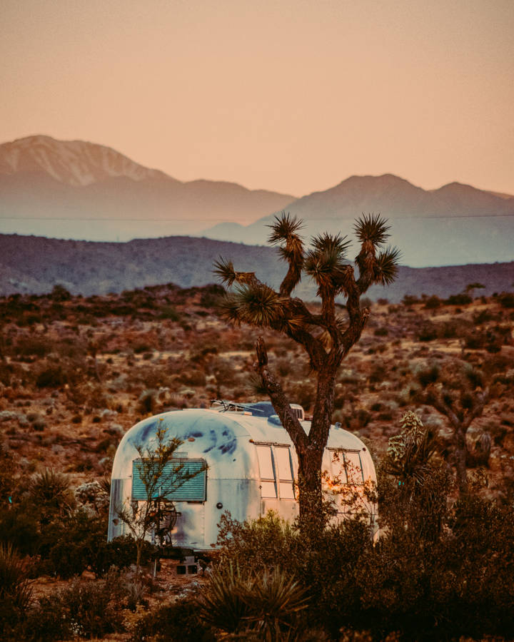 Tree, Van, Bushes, Prairie, Distance Wallpaper