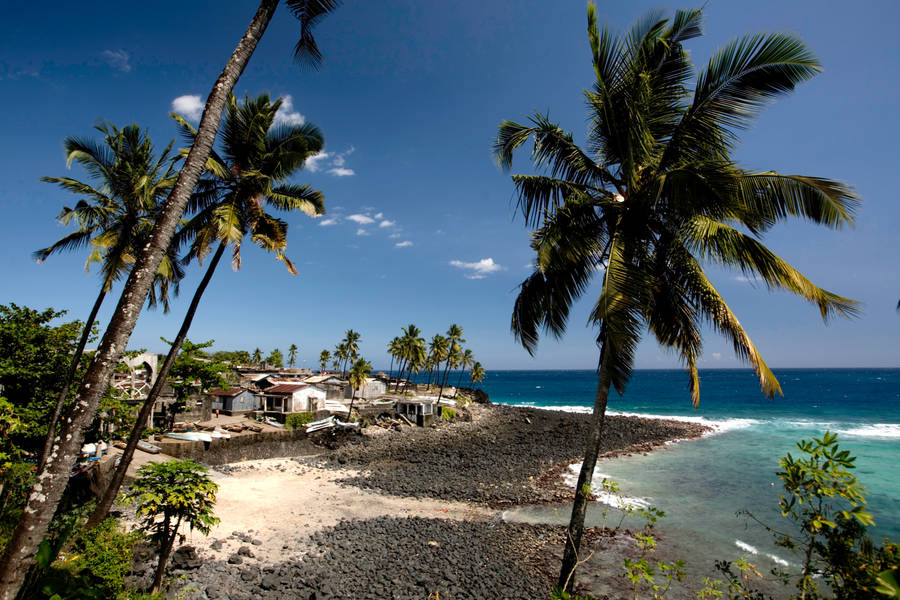 Trees And Houses In Comoros Wallpaper