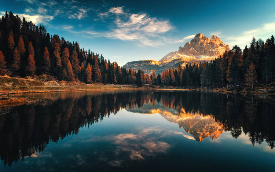 Trees And Lake Reflection Professional Desktop Wallpaper