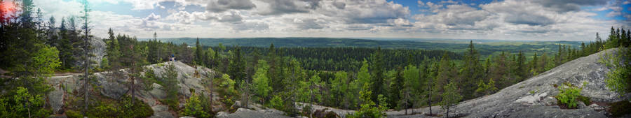 Trees On The Mountain Three Screen Wallpaper