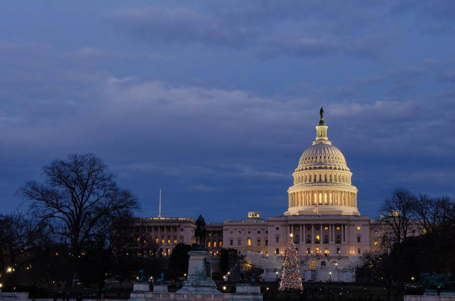 Trees Silhouettes United States Capitol Wallpaper