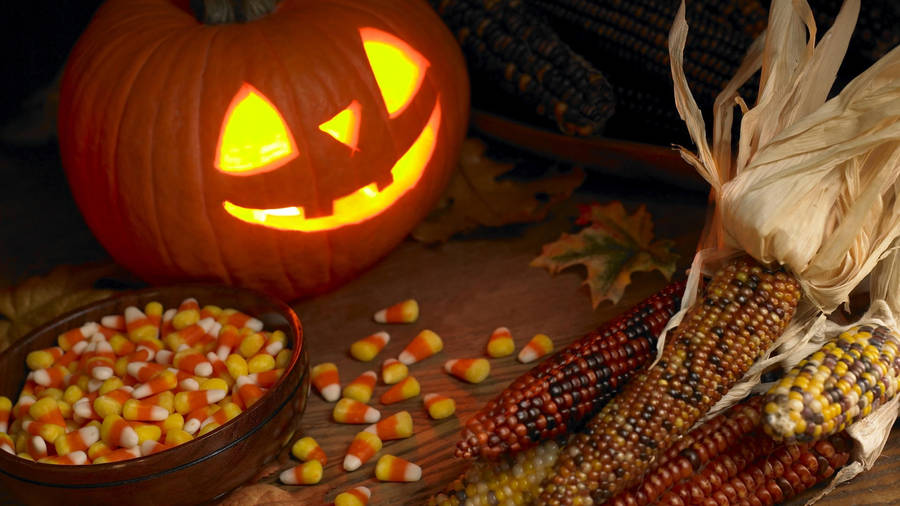 Trick Or Treat Pumpkin Corn Wallpaper