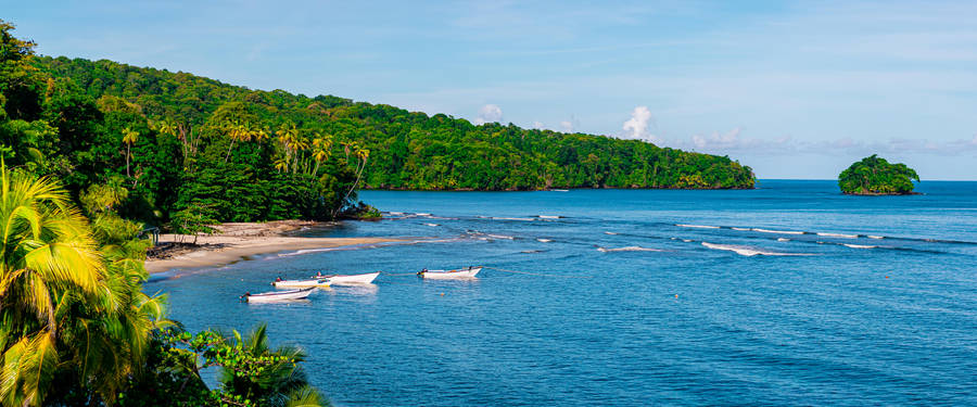 Trinidad And Tobago Salybia Bay Wallpaper