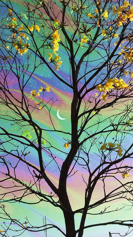 Trippy Dope Pastel Sky And Tree Wallpaper