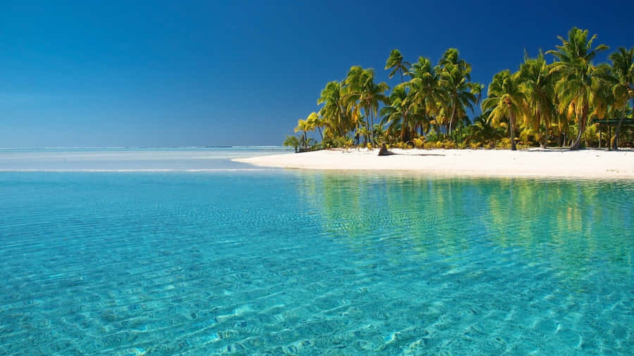 Tropical Aesthetic Island Wallpaper