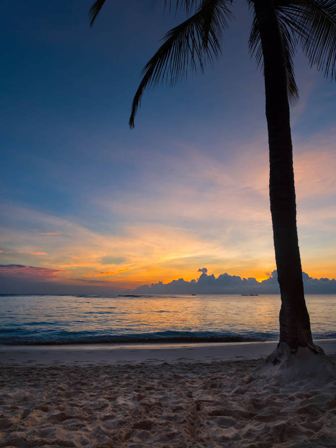 Tropical Beach Aesthetic Sunset Wallpaper