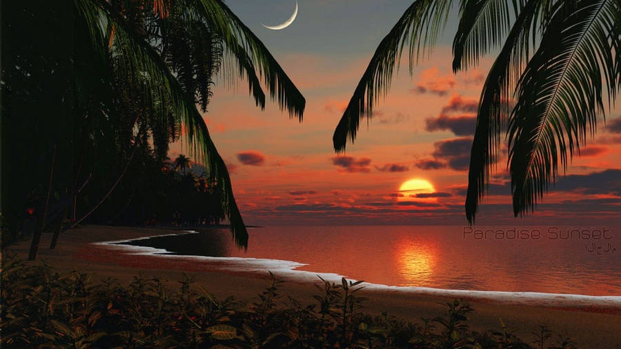 Tropical Beach Paradise Sunset Wallpaper