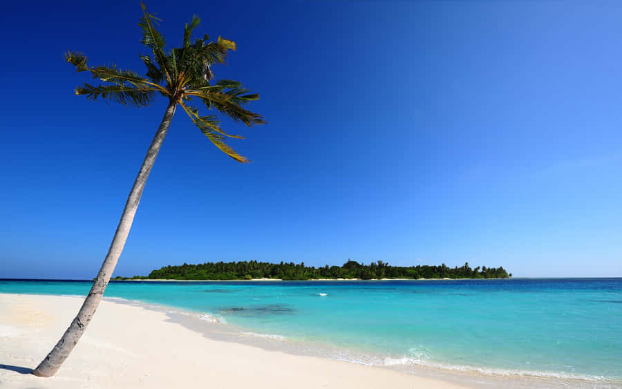 Tropical Beach Scene Blue Skies Wallpaper