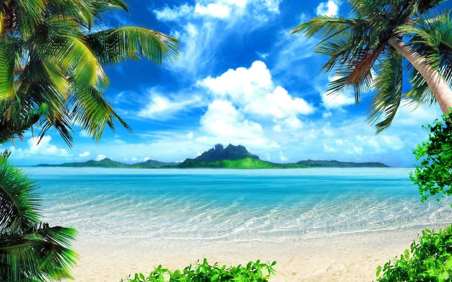 Tropical Beach Scene Studio Backdrop Wallpaper