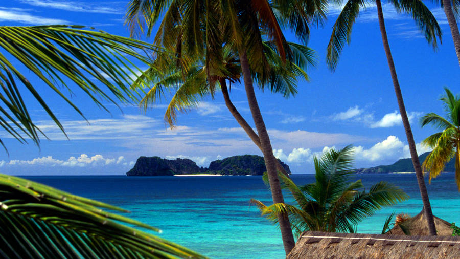 Tropical Caribbean Beach Wallpaper